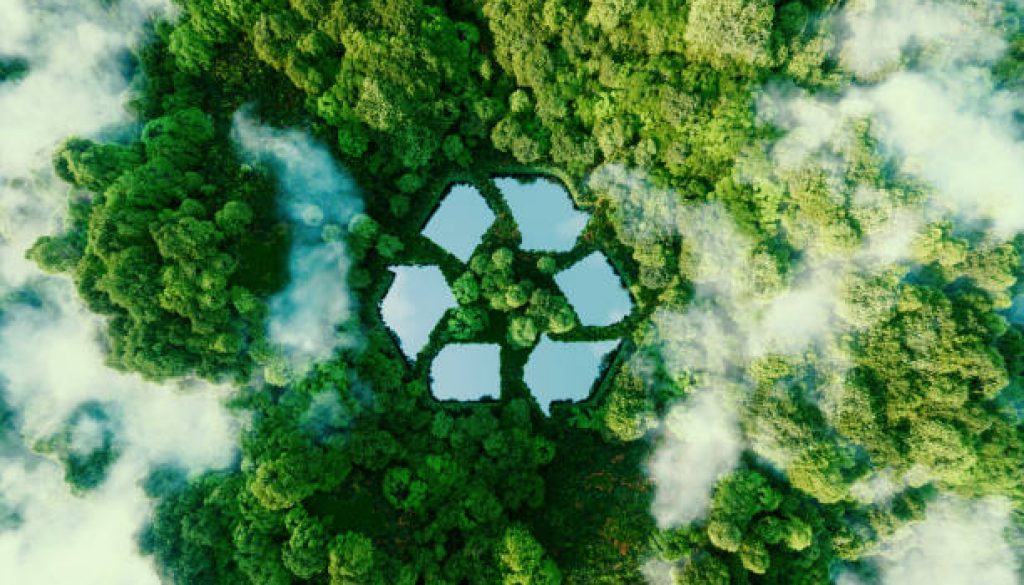 Hoy es el Dia Internacional del Reciclaje